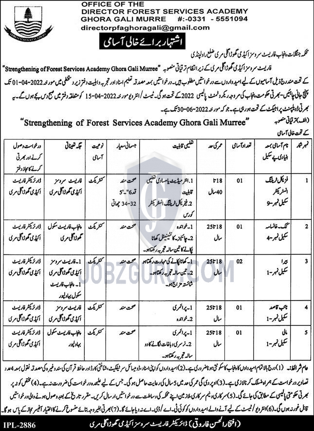 Forest Department Government Punjab Latest jobs-thumbnail