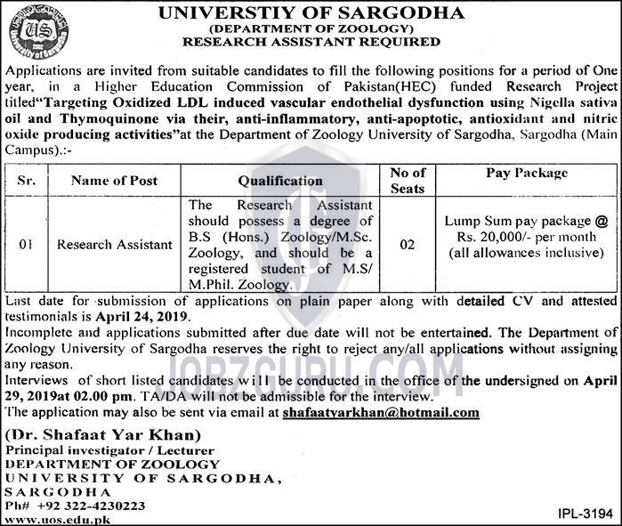University Of Sargodha Latest Jobs 2019-thumbnail
